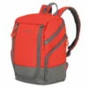 Travelite Basics Rucksack Ryan-Air Maße Rot/Grau -TROLLEY Verkäufe 96290 10 Basics VR 900x900